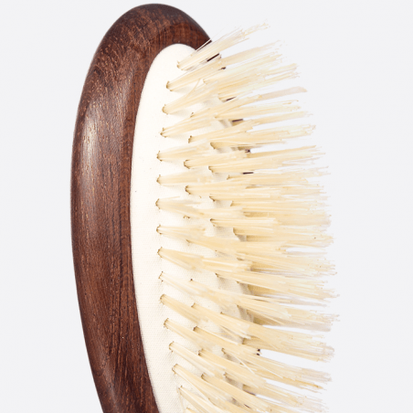 Brosse à cheveux de petite taille en poil de sanglier - Plisson 1808