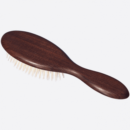 Hairbrush small size