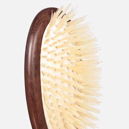 Boar bristle air brush - Plisson 1808