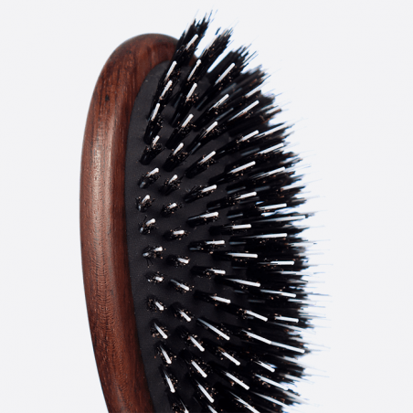 Brosse à cheveux pneumatique, poil de sanglier et picots nylon - Plisson 1808