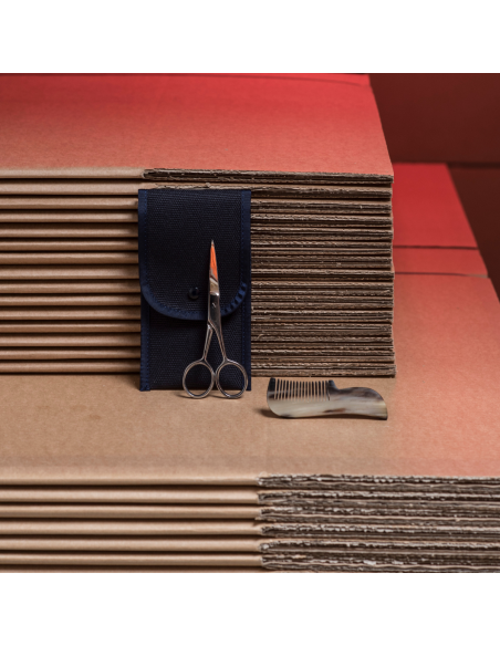 Bart- und Schnurrbart-Set, Kamm und Schere - Plisson 1808