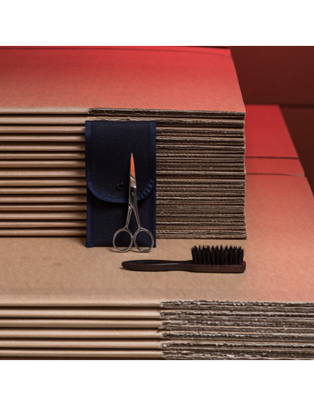 Beard and moustache kit, brush and scissors - Plisson 1808