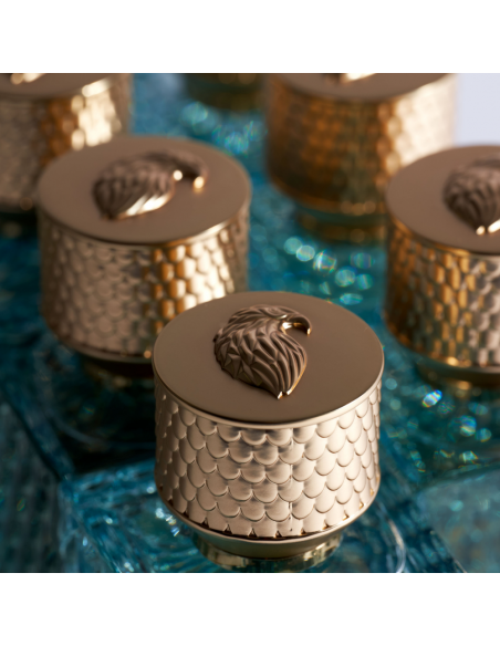 Voyage de l'Empereur - 100ml