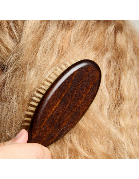 Brosse à cheveux de petite taille en poil de sanglier - Plisson 1808