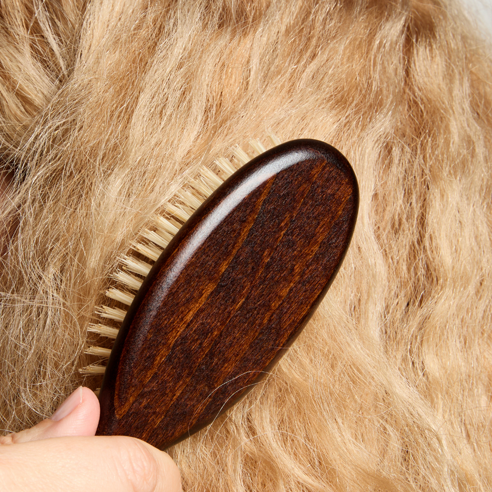 White Boar Bristle Hairbrush Small Size